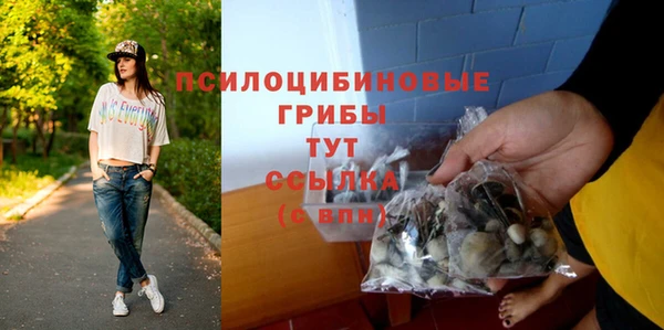 mdpv Лихославль