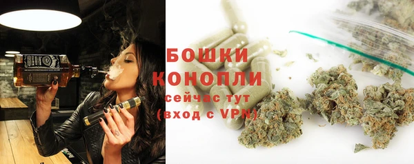 гидра Кукмор