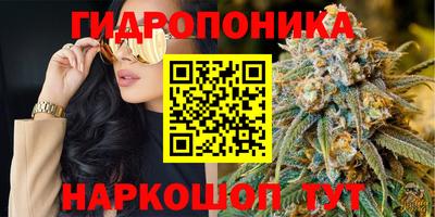 винт Апшеронск