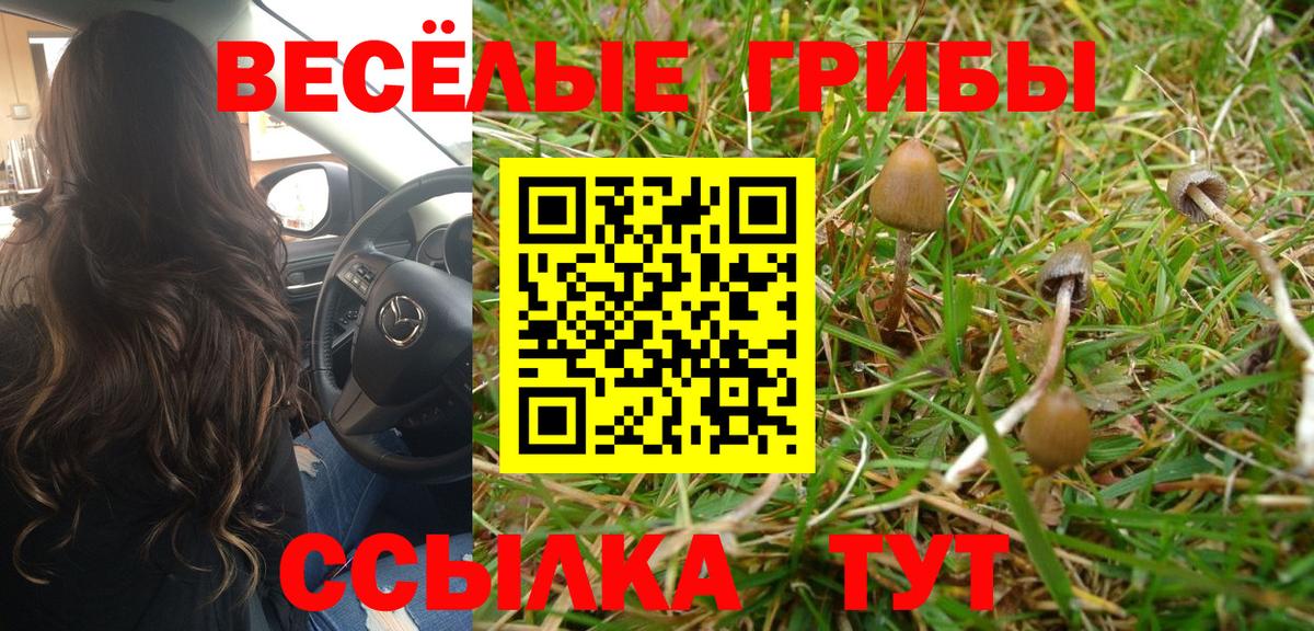 Галлюциногенные грибы мухоморы  Галлюциногенные грибы прущие грибы  Бузулук 