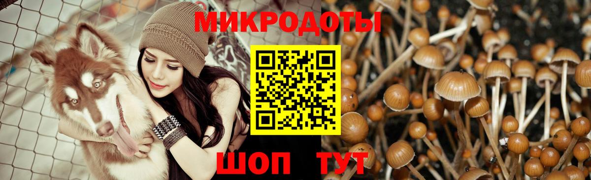Галлюциногенные грибы Psilocybine cubensis  Вход с VPN  Бузулук 
