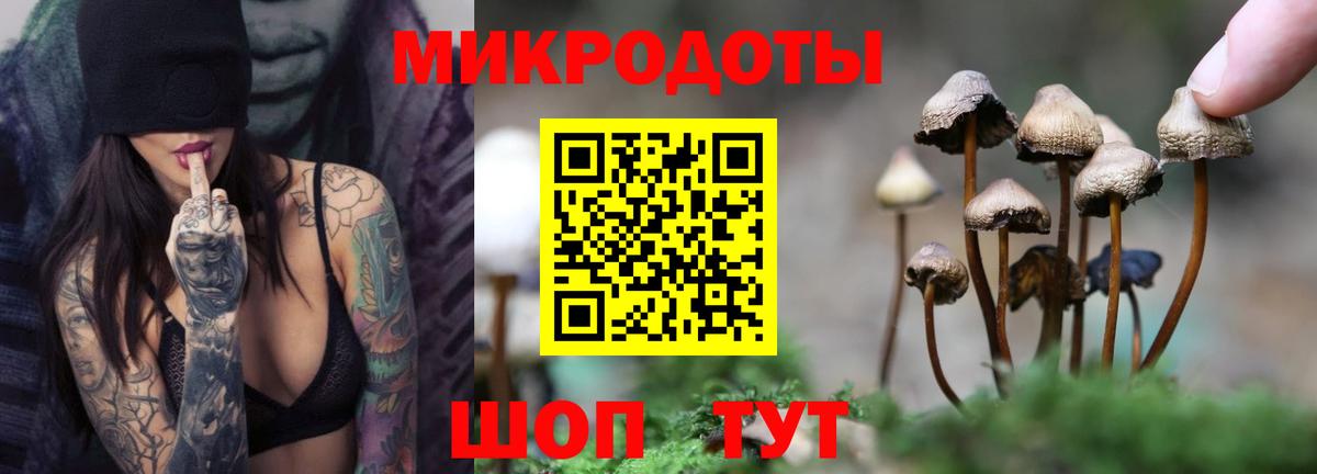 Галлюциногенные грибы ЛСД Бузулук