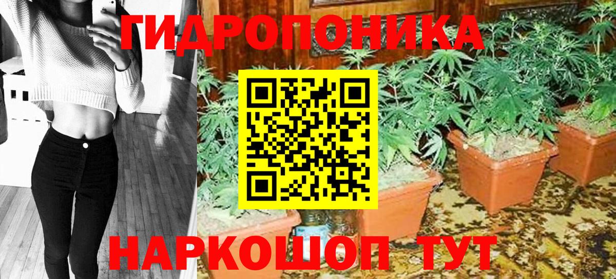Шишки марихуана гибрид  Марихуана OG Kush  Вход с VPN  Бузулук  МАРИХУАНА индика 